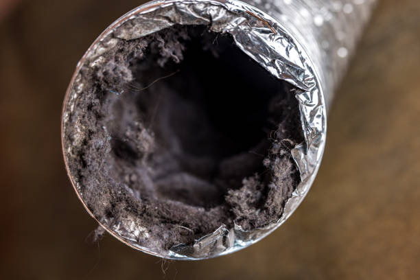 Best Ductwork Cleaning Services  in Wahpeton, ND